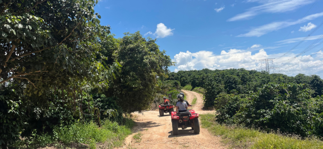 rota-cafe-quadriciclo-serra-negra