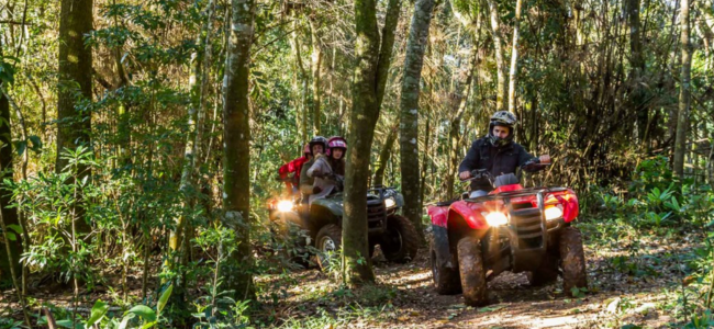 Passeio de Quadriciclo em Monte Verde - MG